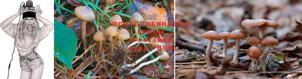 винт Балабаново