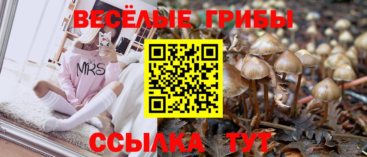 Псилоцибиновые грибы прущие грибы Коммунар