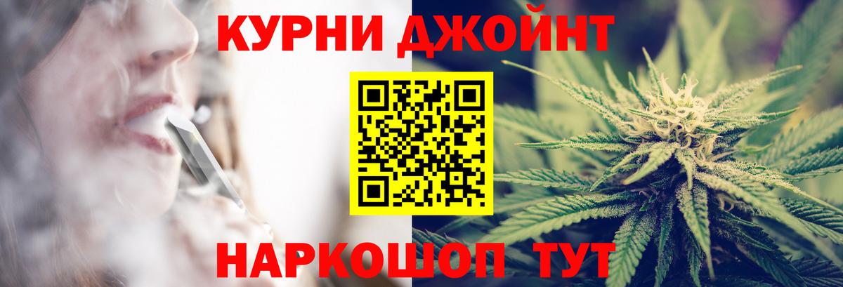 Бошки Шишки MAZAR Коммунар